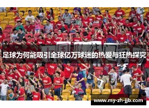 足球为何能吸引全球亿万球迷的热爱与狂热探究